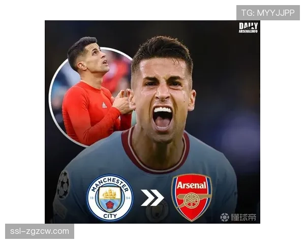 调查性报道:英超球票二级市场乱象与俱乐部的监管困境 调查性报道:英超球票二级市场乱象与俱乐部的监管困境